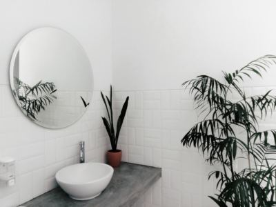 zieleń w łazience