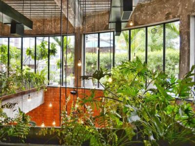 Balkon - sztuczne rośliny