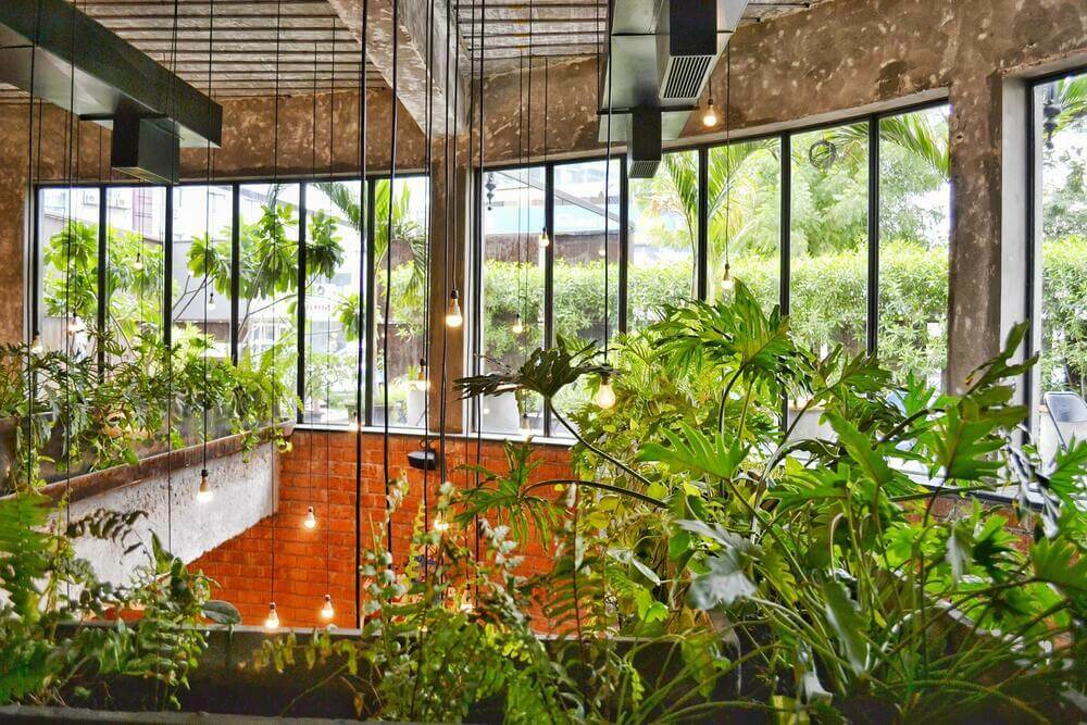 Najlepsze sztuczne rośliny na balkon