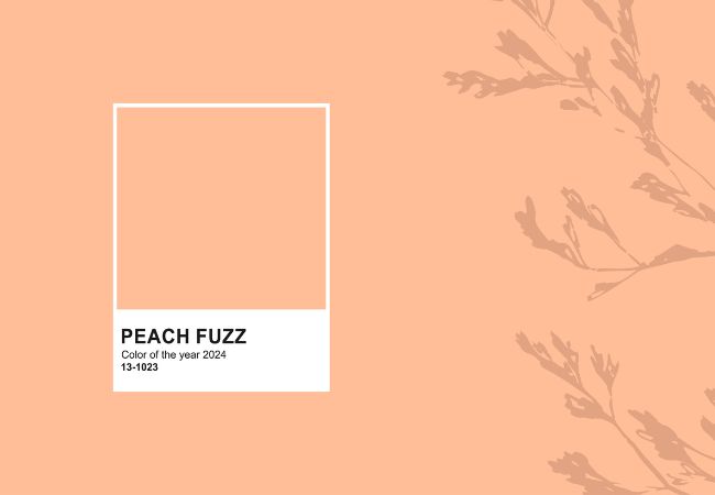 Kolor Roku 2024 - Peach Fuzz
